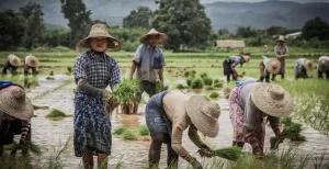 14307475085_001cdf9827_c