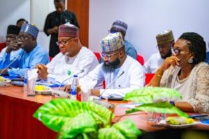 20250122_173918-500x333