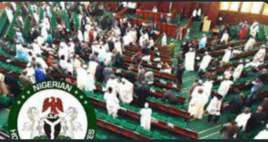 Screenshot_20240625-094052