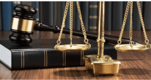 Screenshot_20231121-194327-1