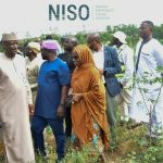 NISO Begins Construction of National Control Room to Boost Power Grid Stability