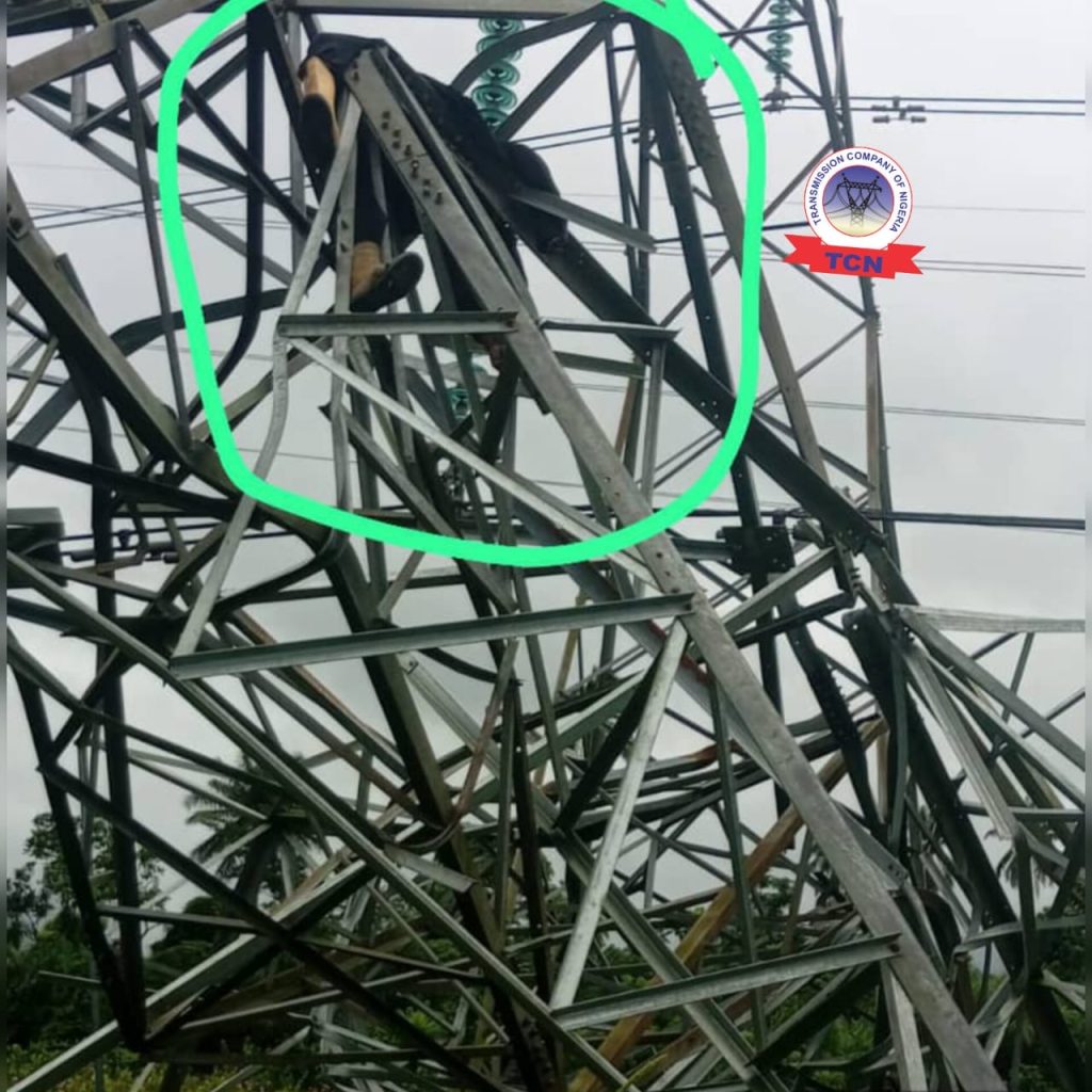 ee658332-5e0b-4e90-8591-861c664da6fa