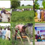 NASENI Demonstrates Solar Irrigation Technology to Kano Farmers, Targets Year-Round Farming