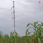 TCN RESTORES KAINJI–BIRNIN KEBBI 330kV TRANSMISSION LINE